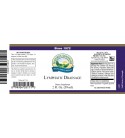 Lymphatic Drainage (2 fl. oz.) label